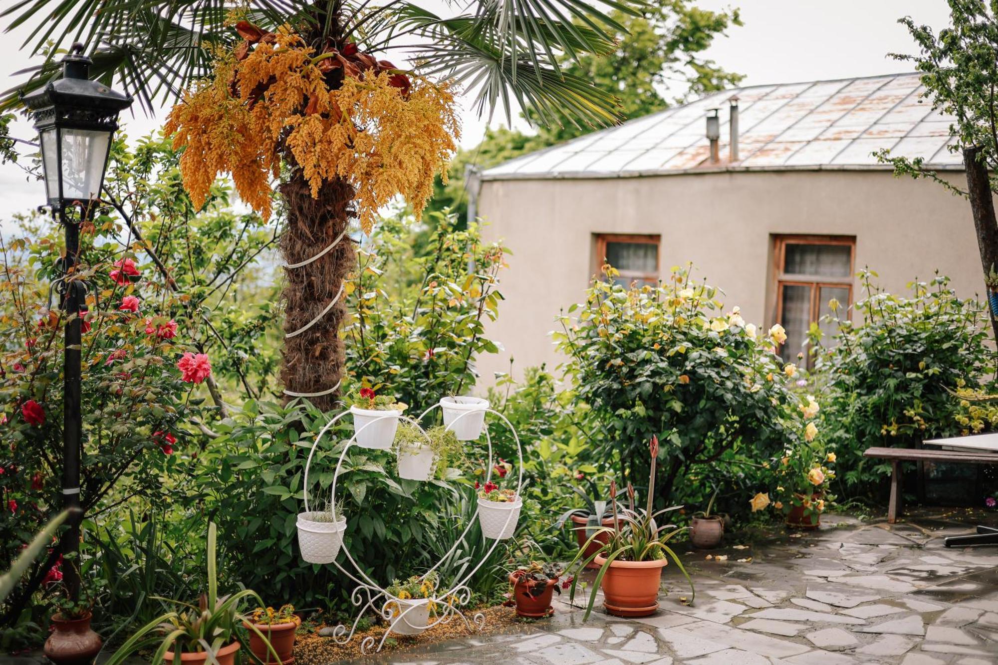 Sighnaghi Garden House Hotel Eksteriør billede